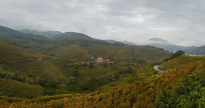 Weine aus dem Douro: Region, Rebsorten und wie man auswählt