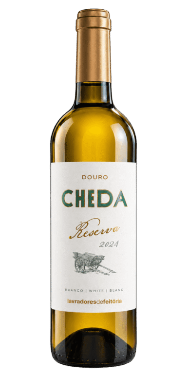 Cheda Reserva Branco 2024