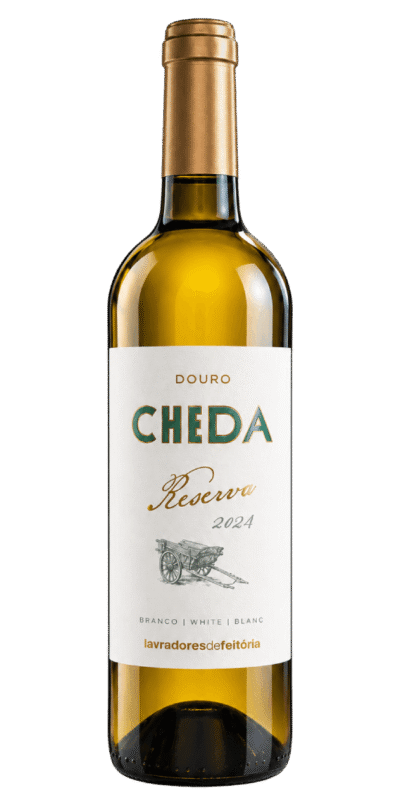 Cheda Reserva Branco 2024