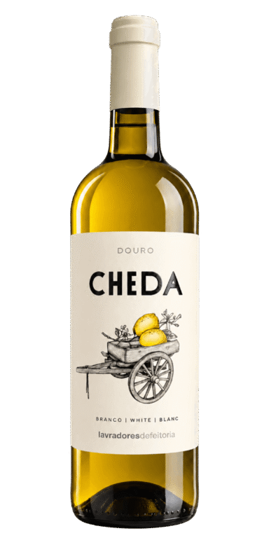 Cheda Reserva Branco 2025