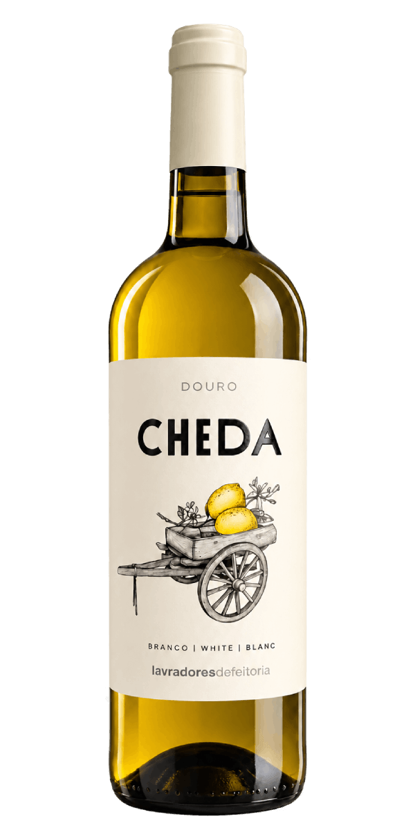 Cheda Reserva Branco 2025