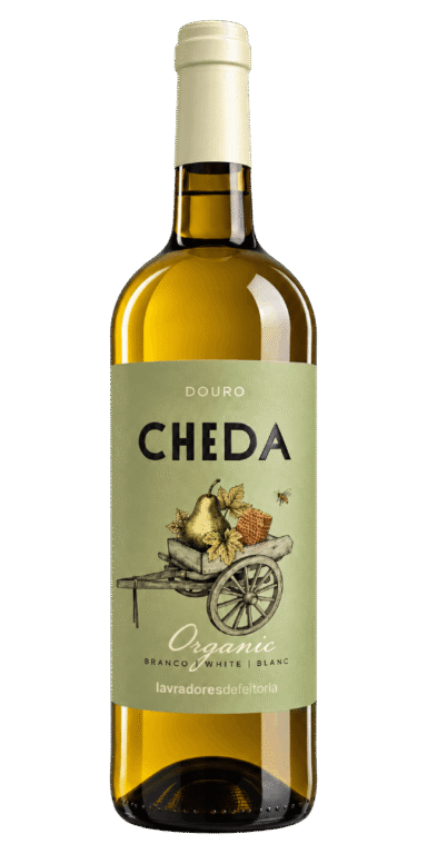 Cheda Organic Branco 2021