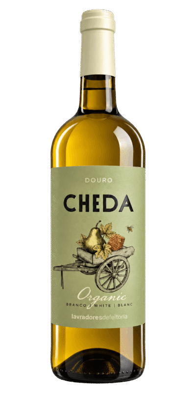 Cheda Organic Branco 2021