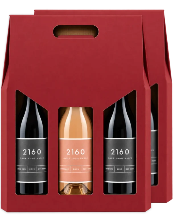 Pack Descoberta Douro com seis garrafas de vinho português